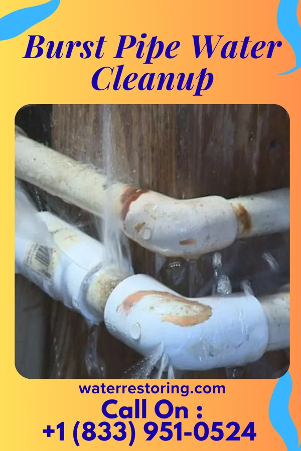 Burst Pipe Water Cleanup in Lake Ronkonkoma, NY
