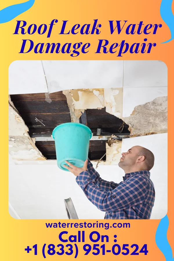 Roof Leak Water Damage Repair in Lake Ronkonkoma, NY
