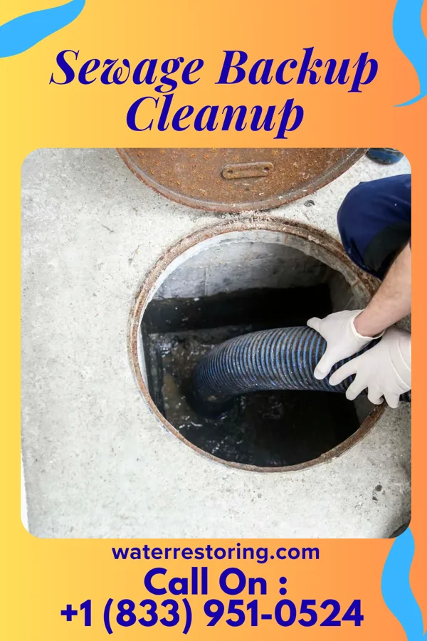 Sewage Backup Cleanup in Lake Ronkonkoma, NY
