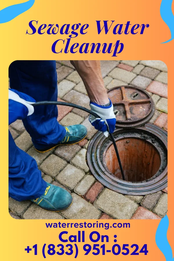 Sewage Water Cleanup in Lake Ronkonkoma, NY